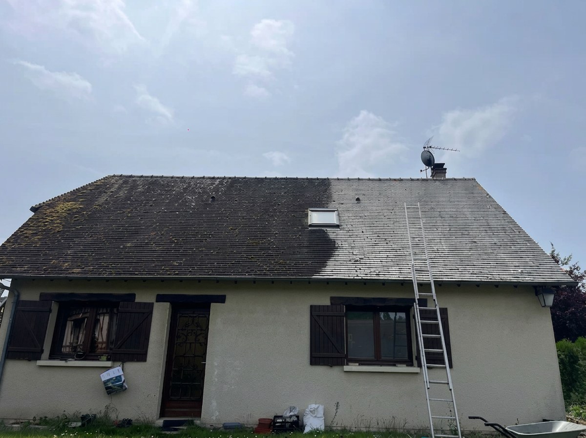 Nettoyage de toiture en cours : partie traitée et partie encore encrassée sur le même toit